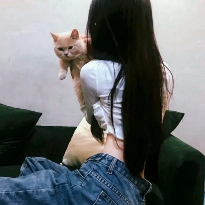 翘楚封面